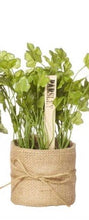 Load image into Gallery viewer, Herbs in Burlap