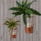 Load image into Gallery viewer, Copper birdcage