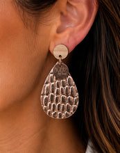 Load image into Gallery viewer, Teardrop Earrings
