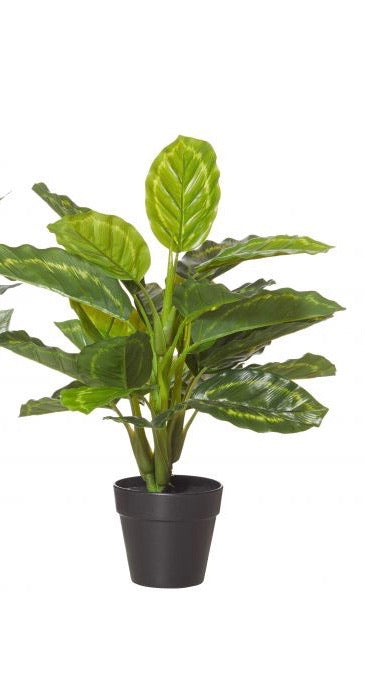 Garden Bush 42cm