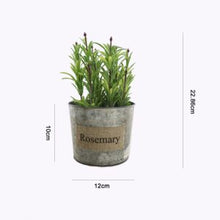 Load image into Gallery viewer, Herbs in Tin