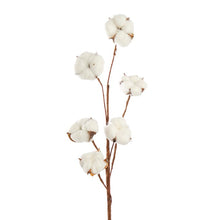 Load image into Gallery viewer, Cotton Stem 85cm