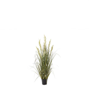 Wetland grass garden pot